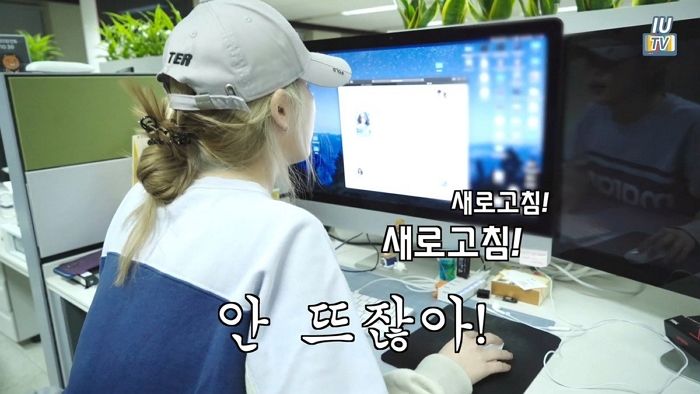 인사이트
