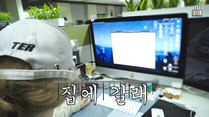 인사이트