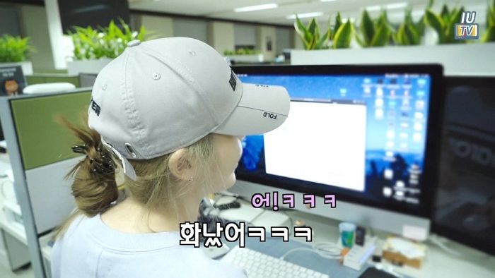 인사이트