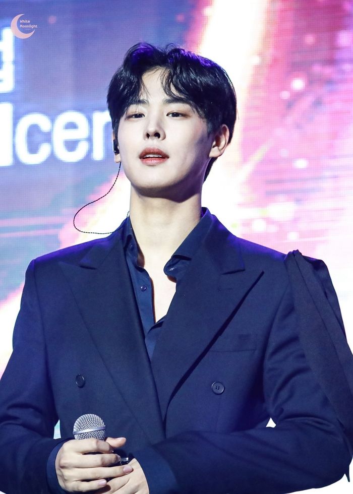 인사이트