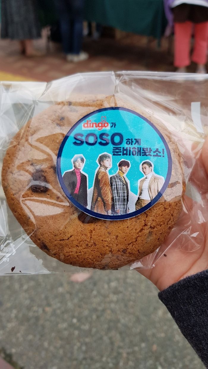 인사이트