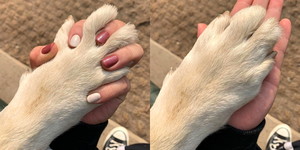 깍지 이미지
