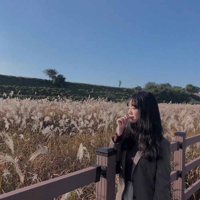 황금빛 갈대가 눈앞에 끝없이 펼쳐지는 인생샷 제조기 ‘대구 달성습지’