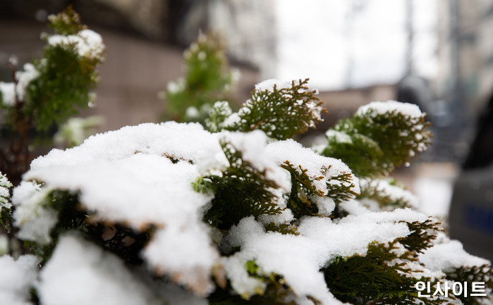 인사이트 / 사진=박찬하 기자 chanha@