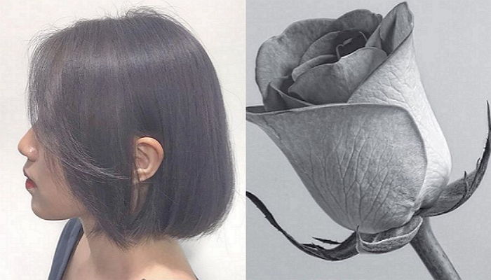 은은한 실버퍼플 컬러로 겨울에 하면 ‘엘사미’ 폭발할 ‘윈터 로즈 그레이’ 염색