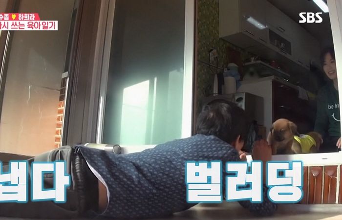 강아지 예뻐하는 아내 하희라 앞에 엎드려 ‘애교’부리는 ‘투머치러버’ 최수종