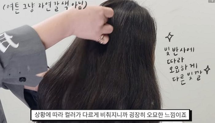 인사이트