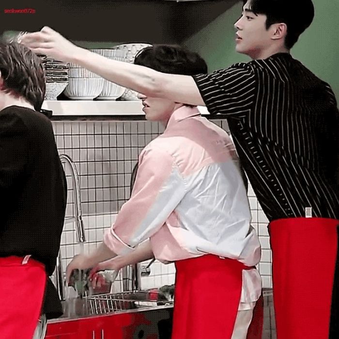 인사이트