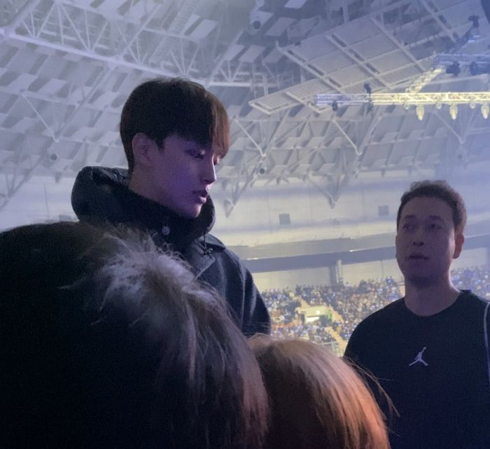 인사이트