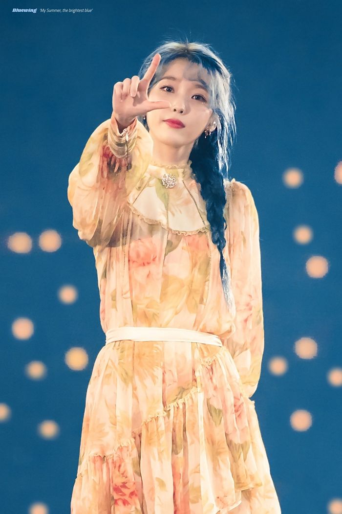 ‘꽃무늬 원피스+엘사머리’ 하고 입 떡 벌어지는 미친 미모 뽐낸 아이유