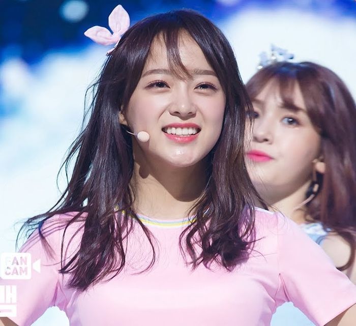 인사이트