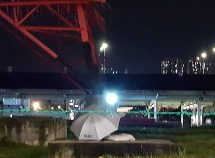 비 오는 날 산책 간다고 좋아했는데 ‘우산’과 함께 버려진 유기견