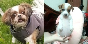 공감 이미지