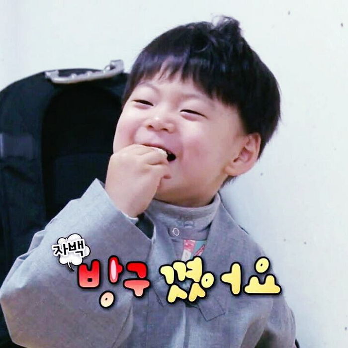 인사이트