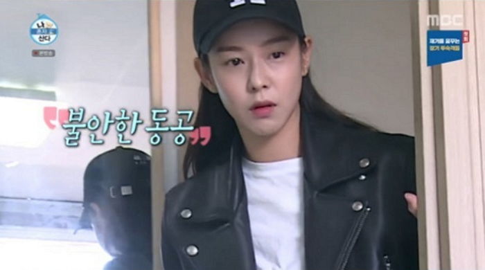 인사이트