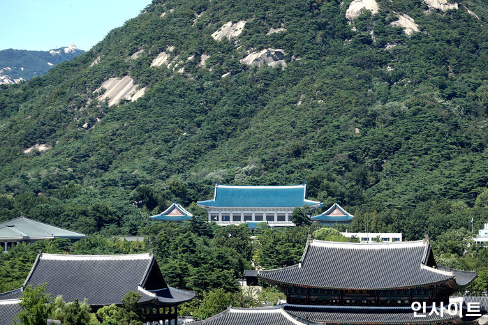 인사이트 / 사진=인사이트