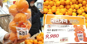 황금향 이미지