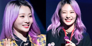 연보라 이미지