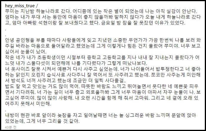 인사이트