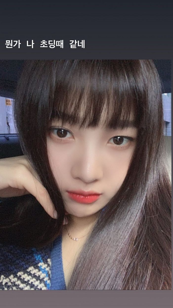 인사이트