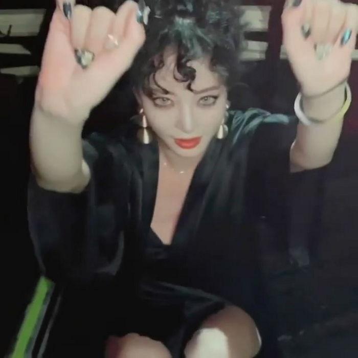 인사이트