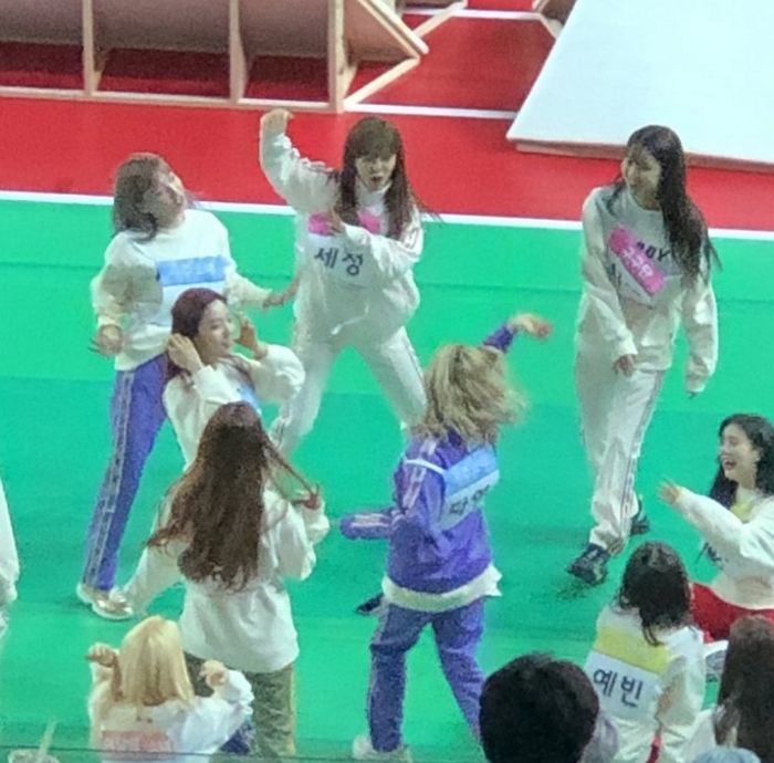 인사이트