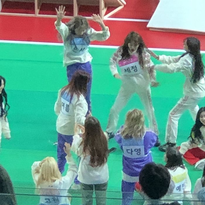 인사이트
