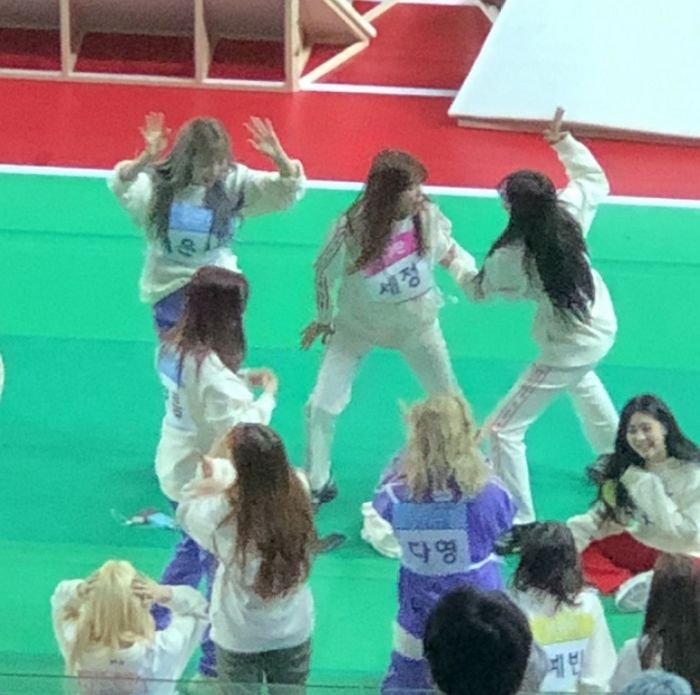 인사이트
