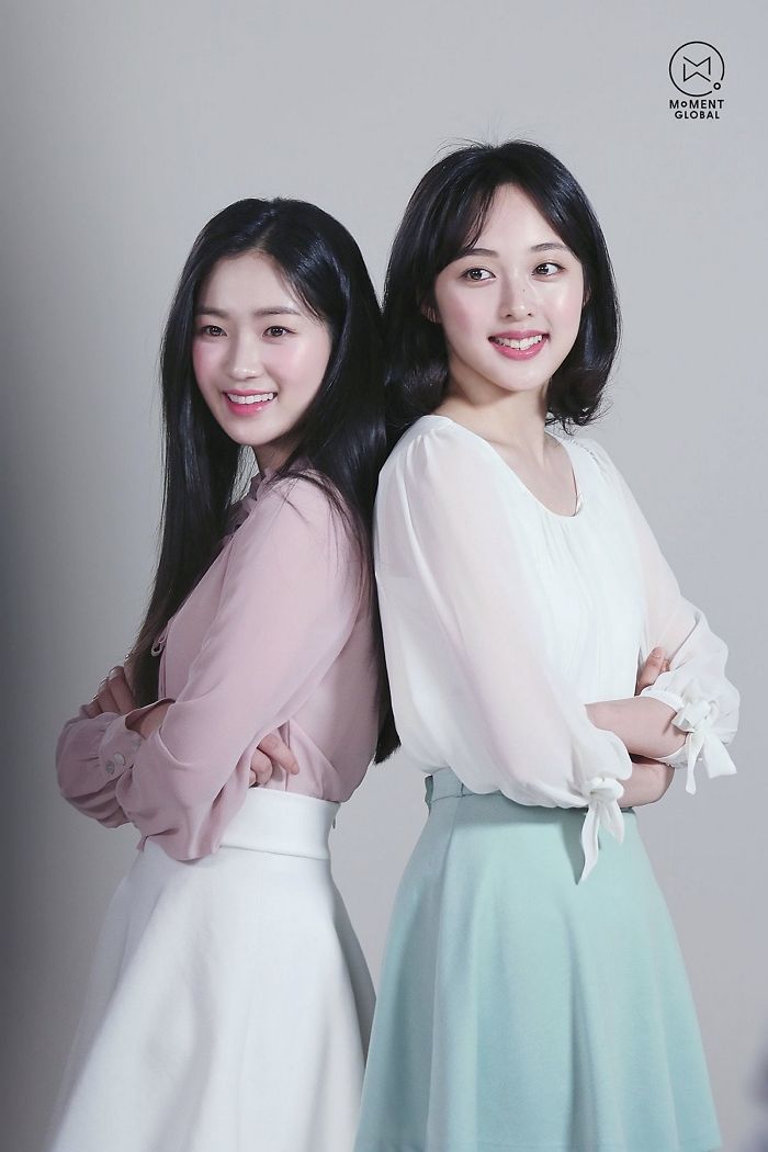 인사이트