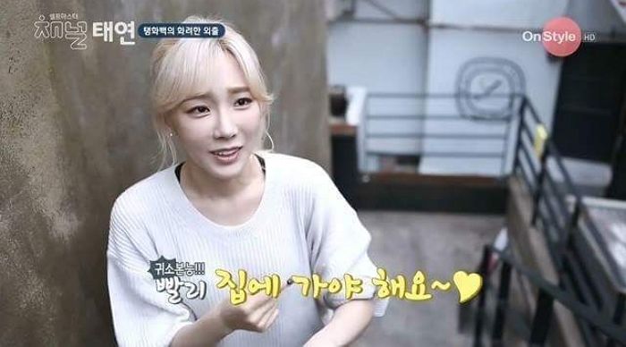 ‘방콕’ 좋아해 크리스마스에도 혼자 집에서 보낼 것 같은 ‘집돌이·집순이’ 스타 6