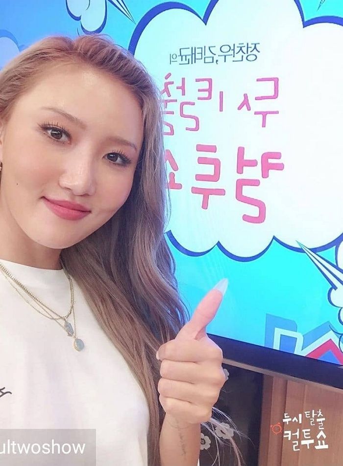 인사이트