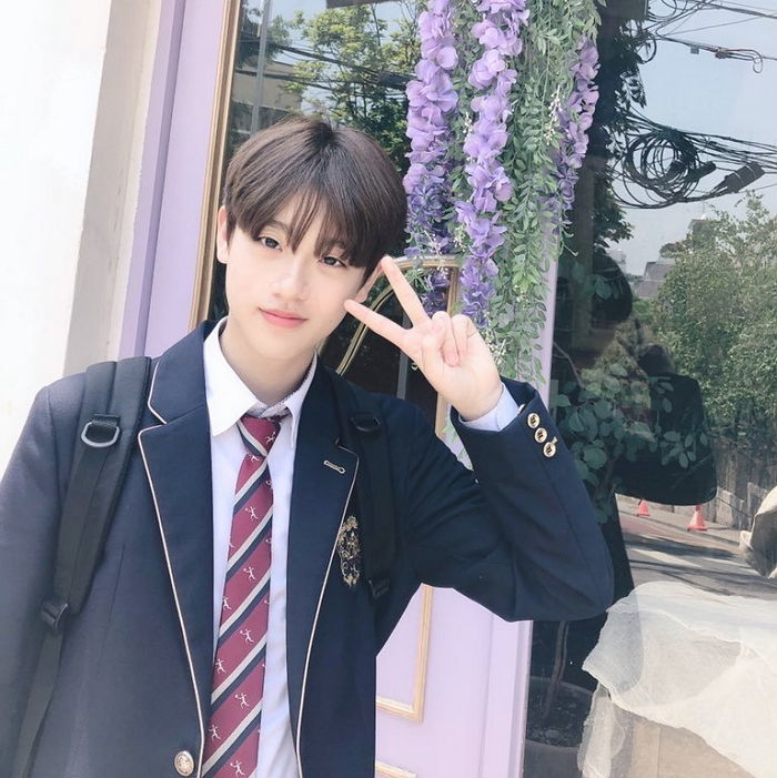 인사이트