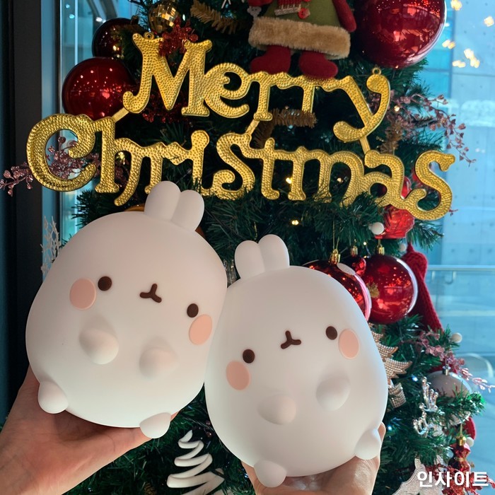 인사이트 / 사진=인사이트