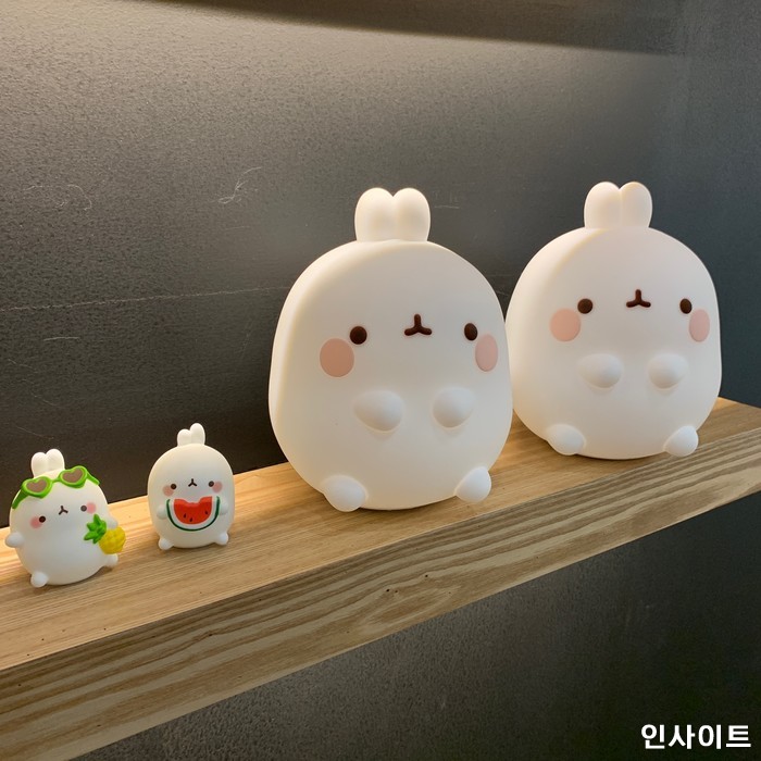 인사이트 / 사진=인사이트