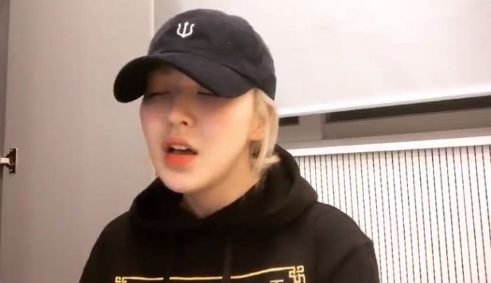 인사이트