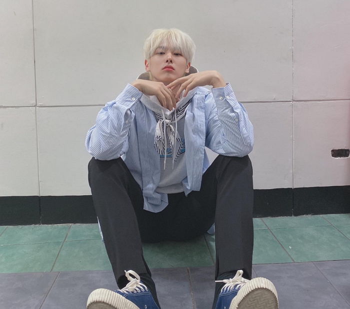 인사이트