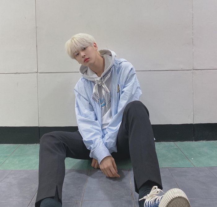 인사이트