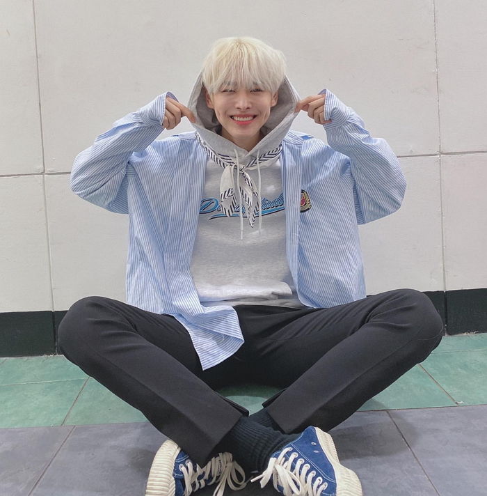 인사이트