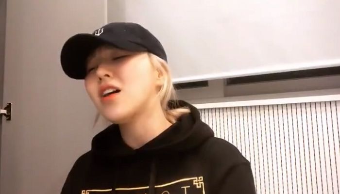 인사이트