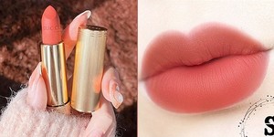 코랄 이미지