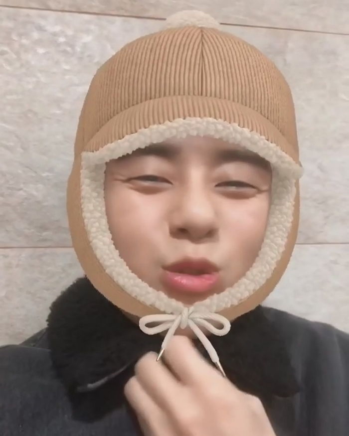 인사이트