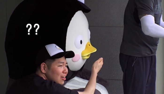 인사이트