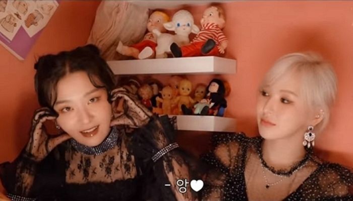 인사이트