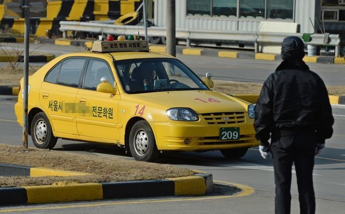 “지금 당장 따러 가자” 운전면허 커트라인 내년에 80점으로 올라 취득 어려워진다