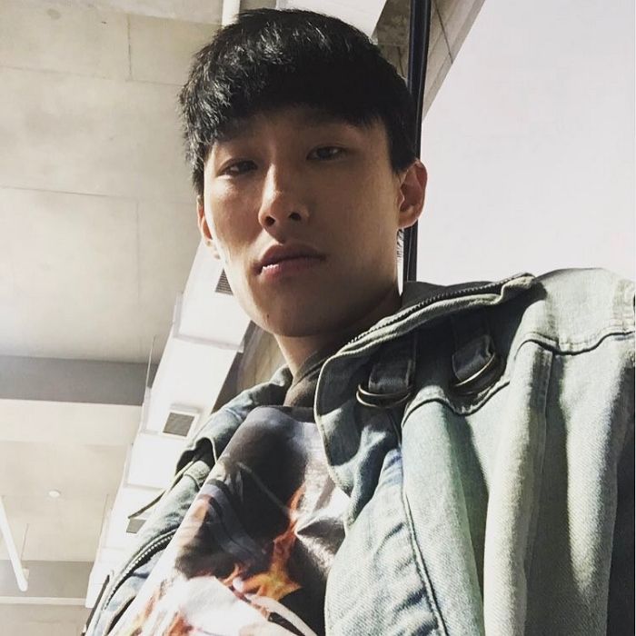 인사이트