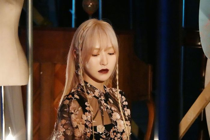 인사이트