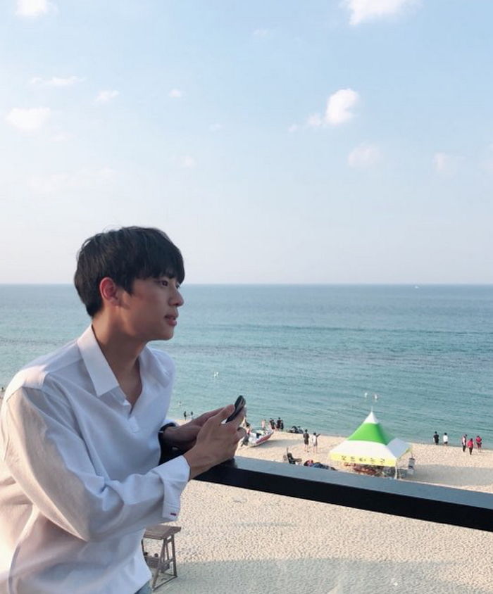 인사이트
