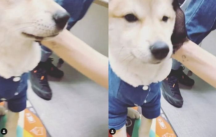 인사이트