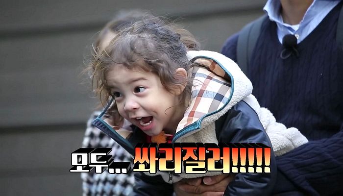 인사이트