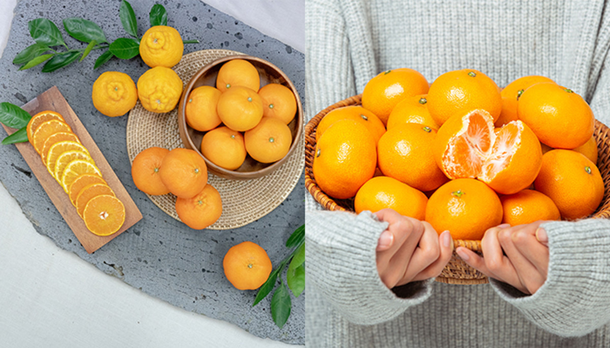 신거 못 먹는 여친 위해서 준비해야 할 ‘레드향+한라봉+천혜향’ 감귤 3종 세트